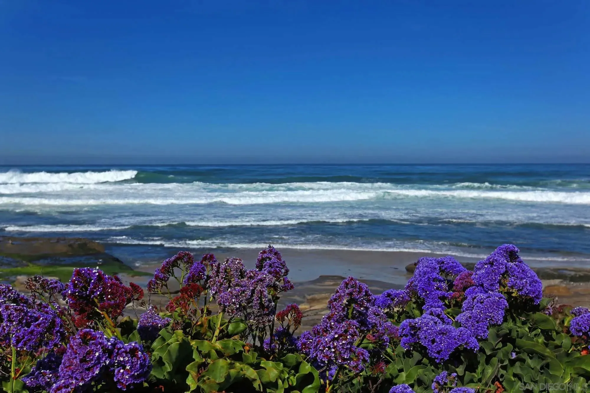 La Jolla, California 92037, United States, 3 Bedrooms Bedrooms, ,3 BathroomsBathrooms,Residential,Active,170458