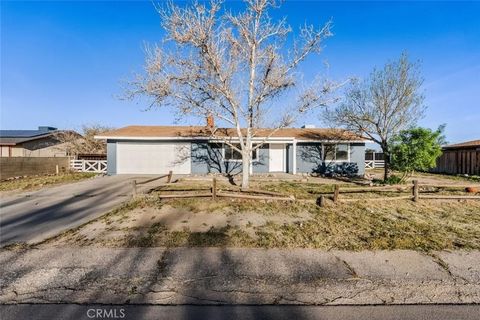 Photo of 40974 156th Street, Lake Los Angeles, CA 93535 (MLS # SR26060557)