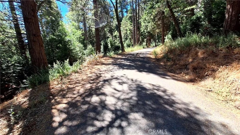 0 Cedar Pines
