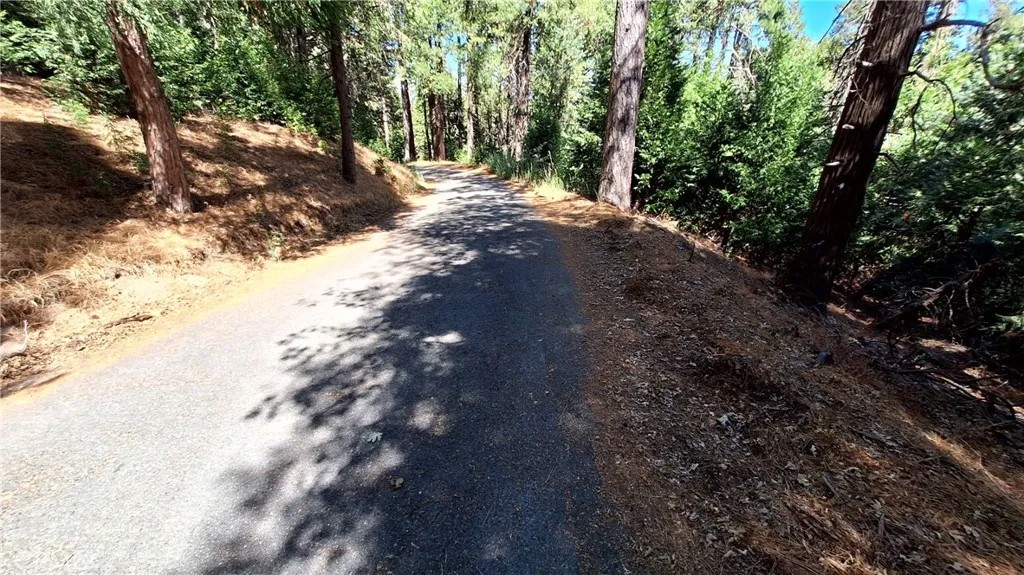 0 Cedar Pines