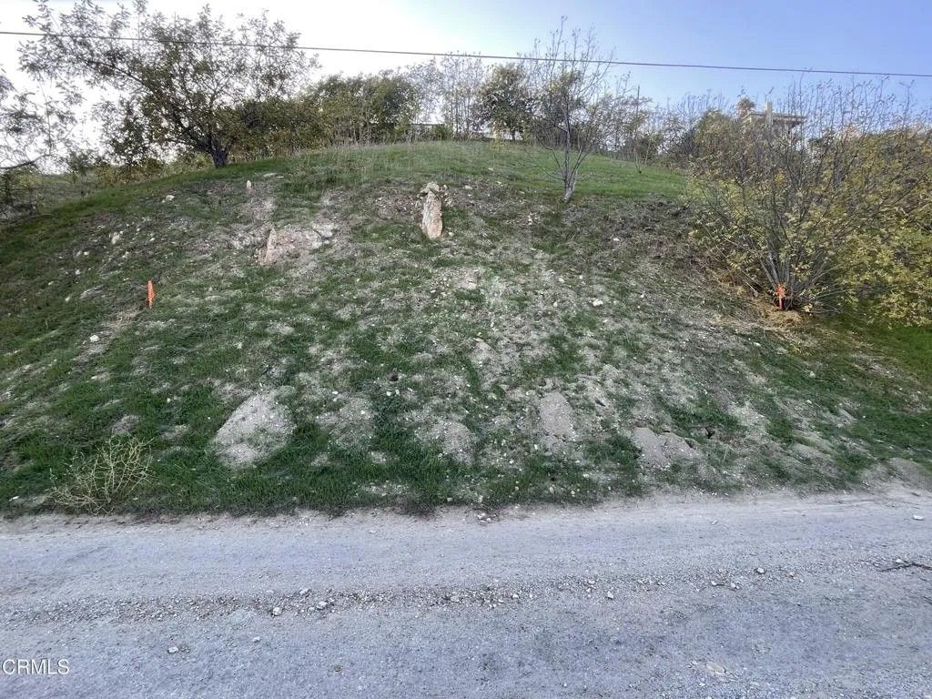 Photo of 0 Forest Park, Los Angeles, CA 90032 (MLS # P1-25959)