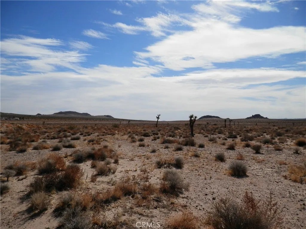 Photo of 0 N O Old Woman Spring, Lucerne Valley, CA 92356 (MLS # PW26190508)
