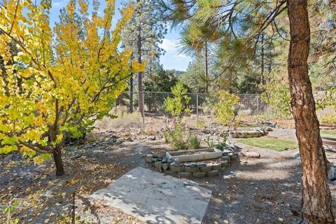 Tiny photo for 1585 Linnet Rd, Wrightwood, CA 92397 (MLS # HD25238089)