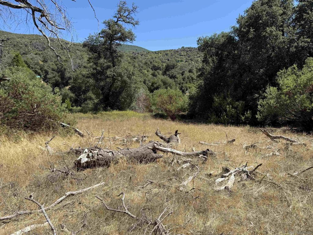 Photo of 5909 Forest Meadow Road, Julian, CA 92036 (MLS # 250039927)