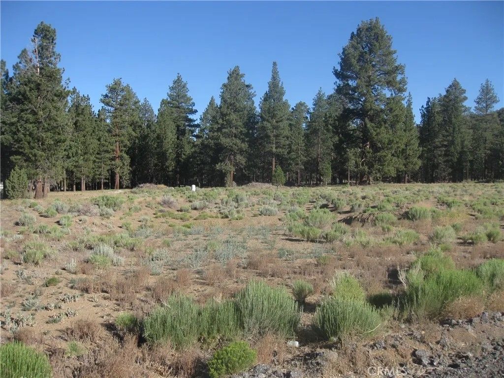 Photo of 2824 Erwin Ranch Road, Big Bear Lake, CA 92314 (MLS # IV26139833)