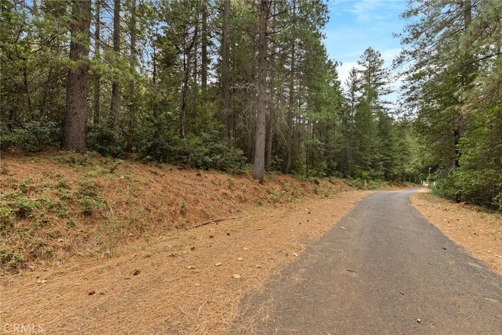 Photo of 1 Old Forbestown, Forbestown, CA 95941 (MLS # SN25271191)