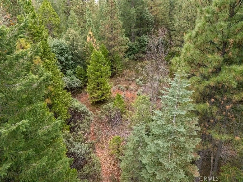 Photo of 1 Old Forbestown, Forbestown, CA 95941 (MLS # SN25271191)