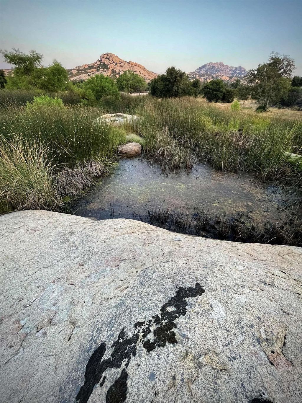 Photo of 19191 High Glen Rd, Alpine, CA 91935 (MLS # 250035243)