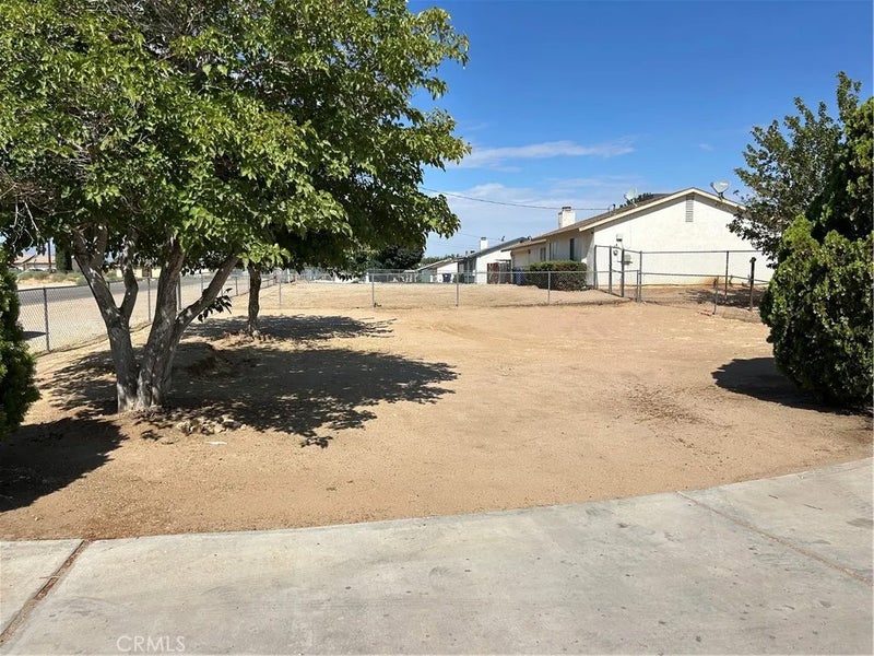 15686 Little Beaver