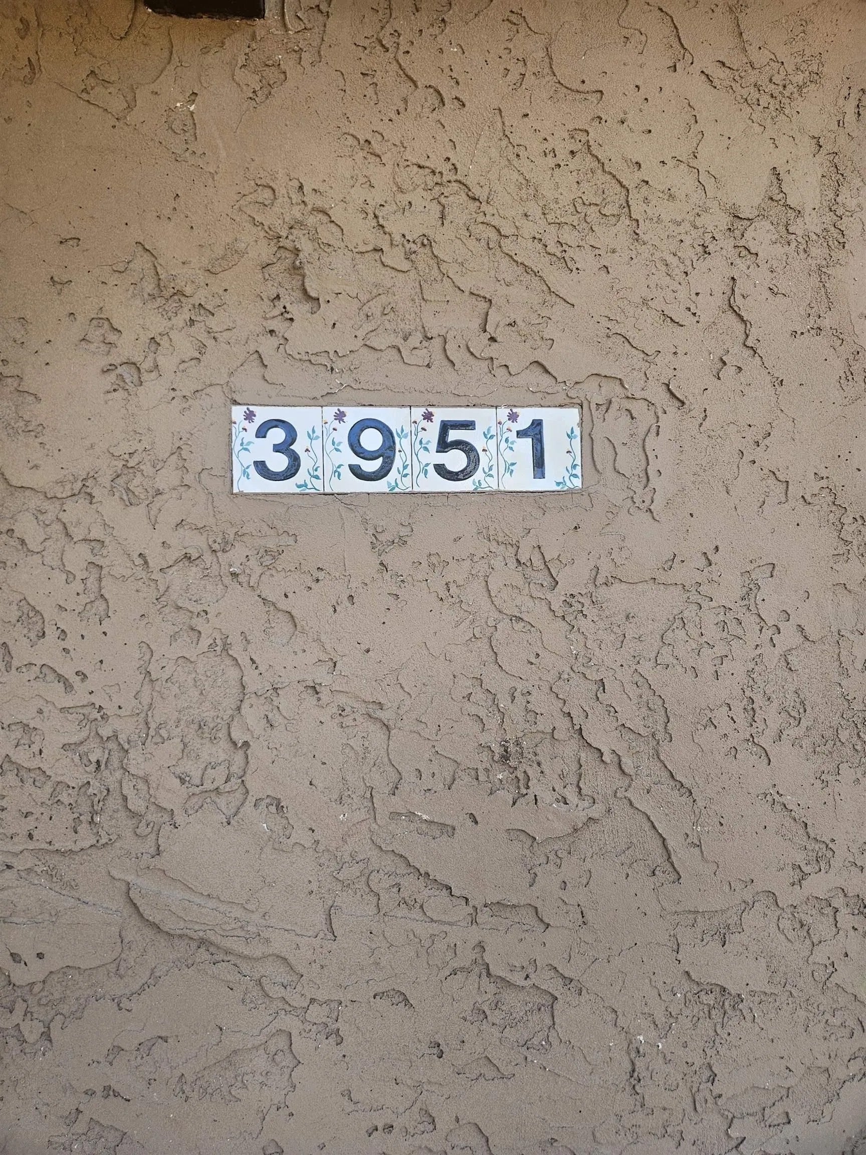 3951 Idaho St. 5