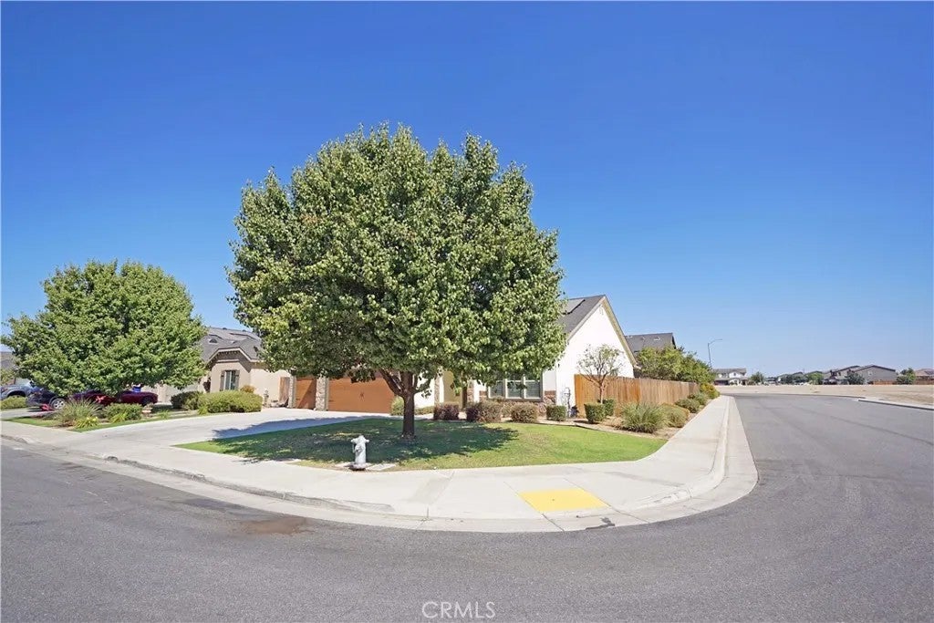 10118 Alondra Dr