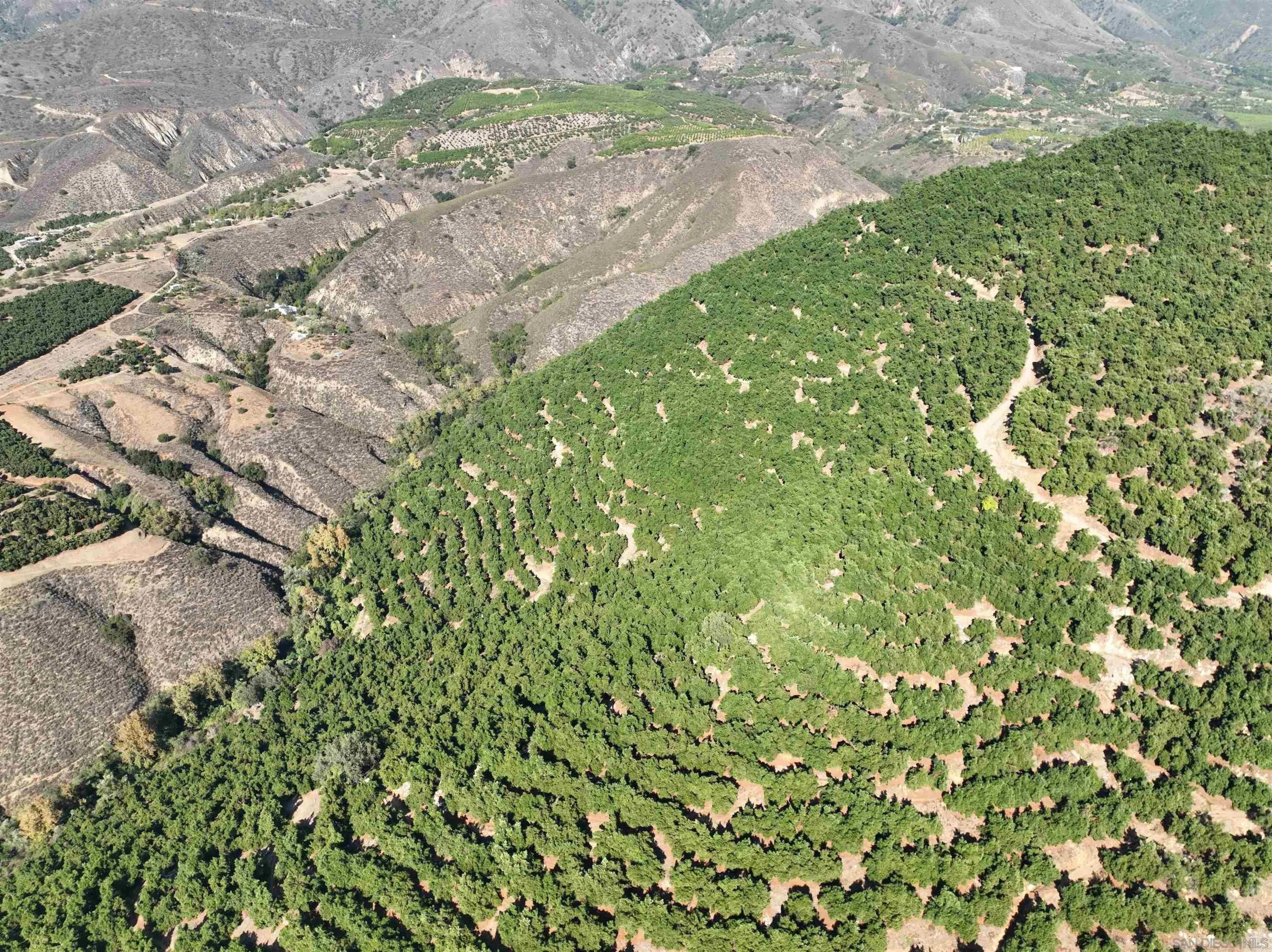 32375 Sam's Mountain Road 31