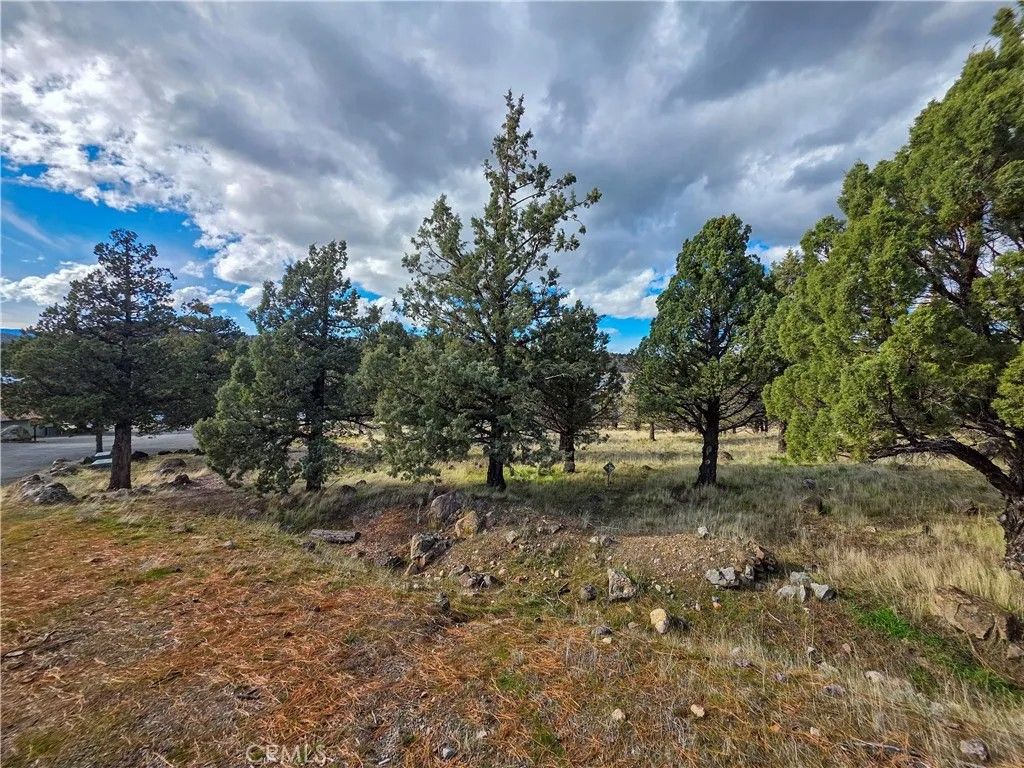 Photo of 0 Driftwood, Weed, CA 96094 (MLS # SN26043506)