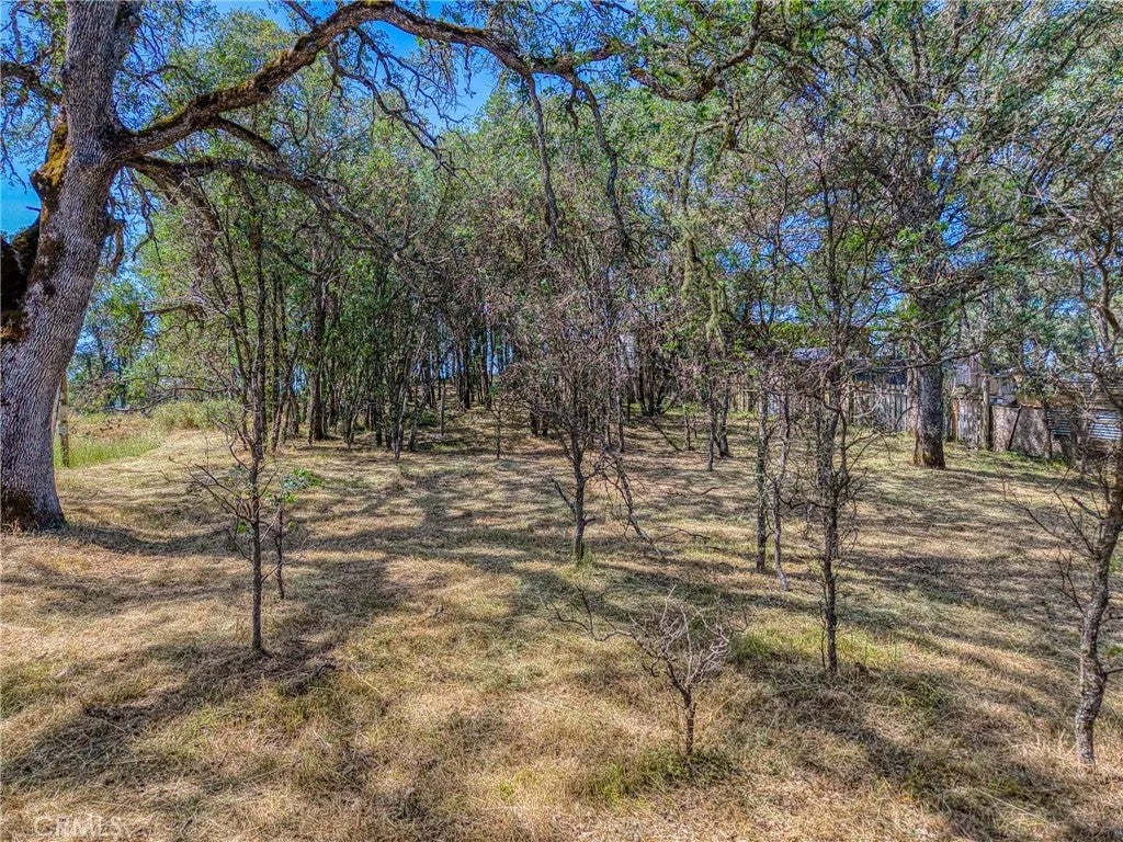 16793 Big Bear