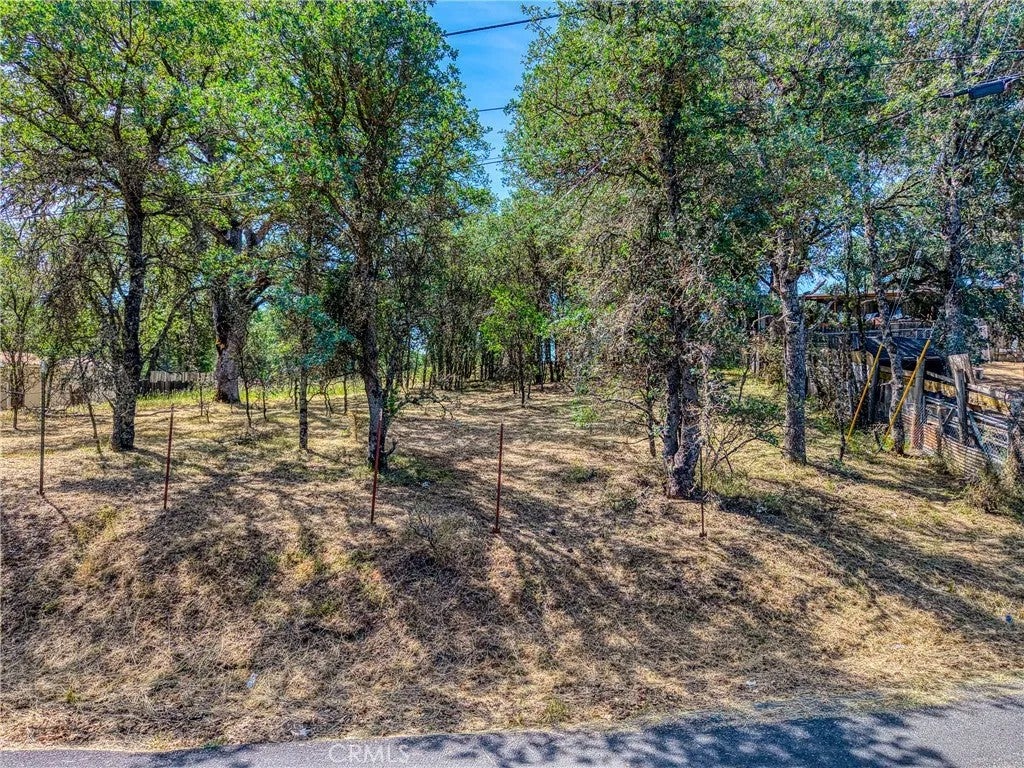 16793 Big Bear