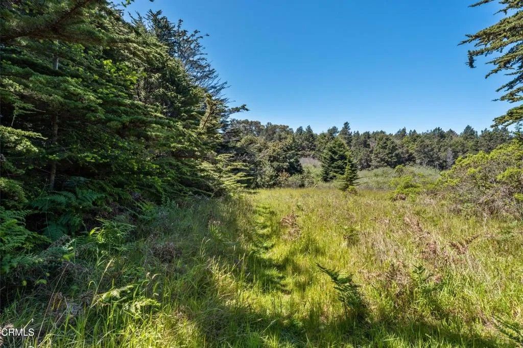Photo of 26950 California 1, Fort Bragg, CA 95437 (MLS # C1-11373)