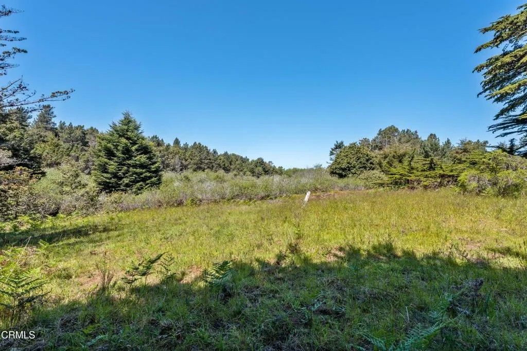 Photo of 26950 California 1, Fort Bragg, CA 95437 (MLS # C1-11373)