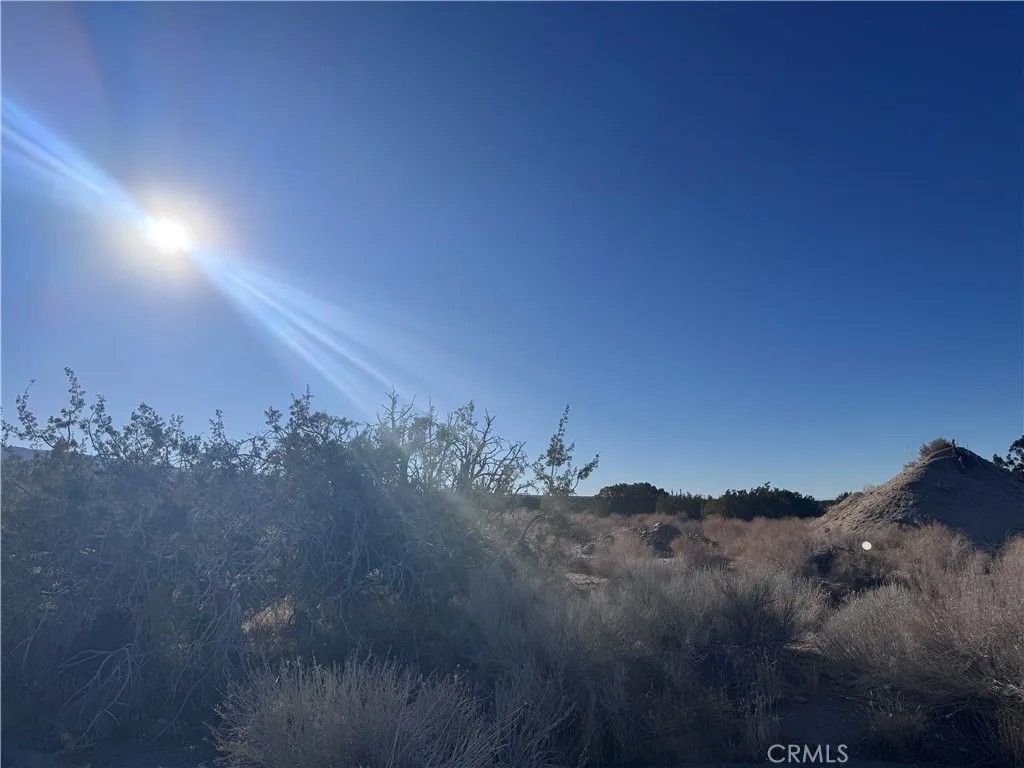 Photo of 0 Vac/Antelope, Llano, CA 93544 (MLS # IV25247202)