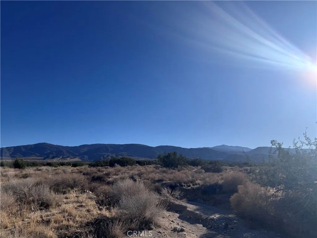 Photo of 0 Vac/Antelope, Llano, CA 93544 (MLS # IV25247202)