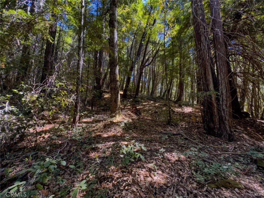 3700 Redwood Creek