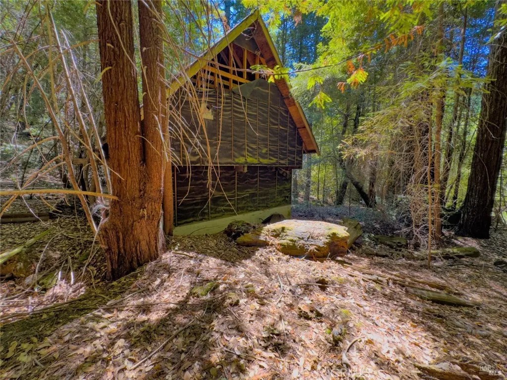 3700 Redwood Creek