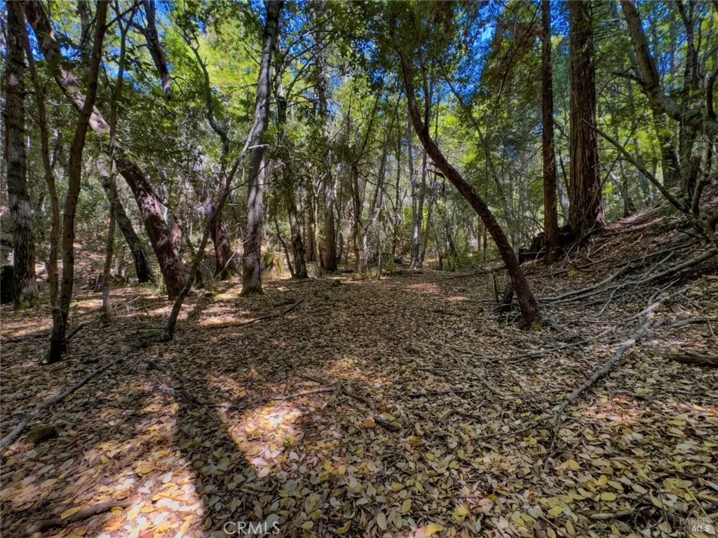 3700 Redwood Creek