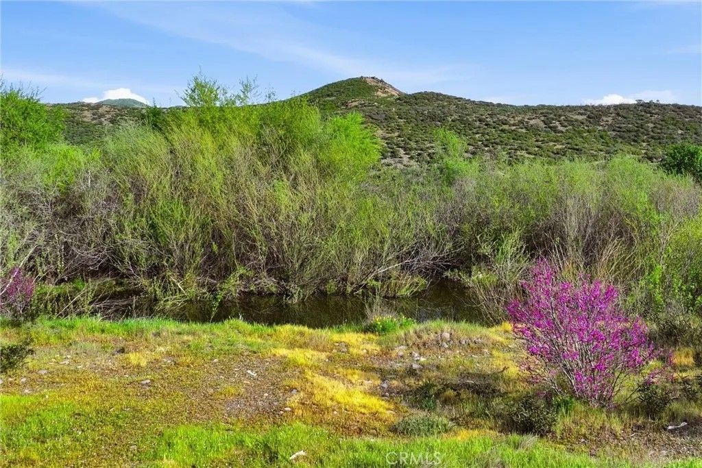 Photo of 15080 Poppy Ln, Middletown, CA 95461 (MLS # LC26070698)