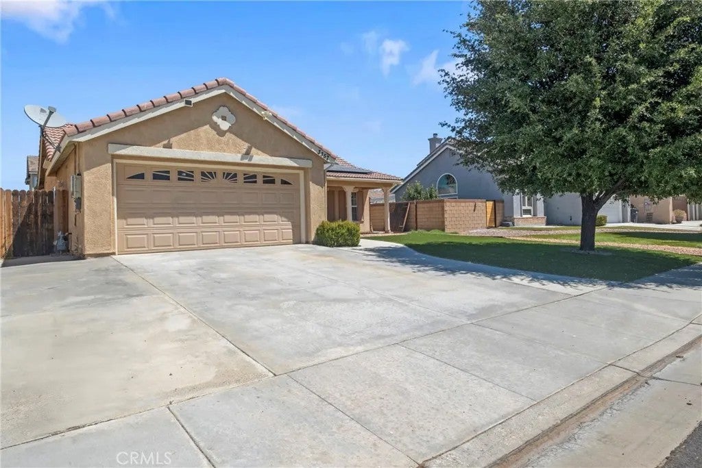 3357 Firebush