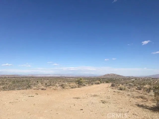 0 Melody