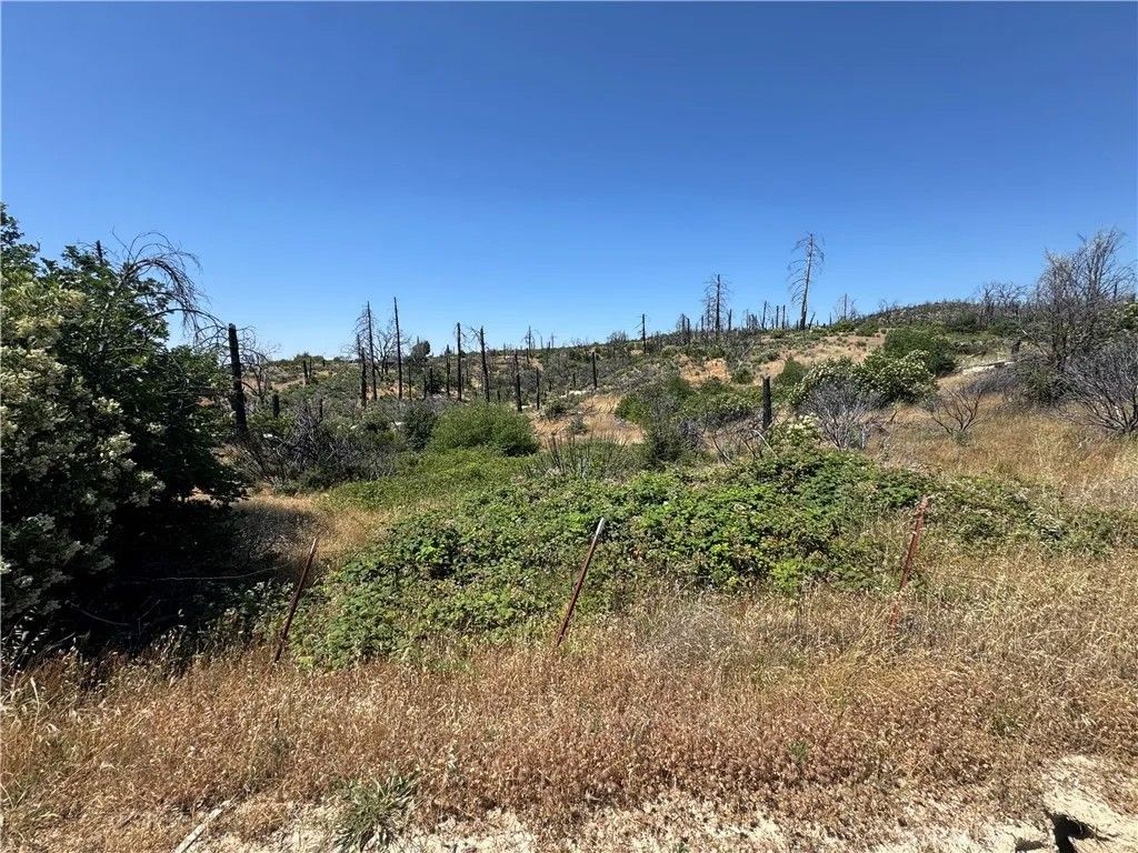 Photo of 0 Sierra View, Berry Creek, CA 95916 (MLS # SN26109758)