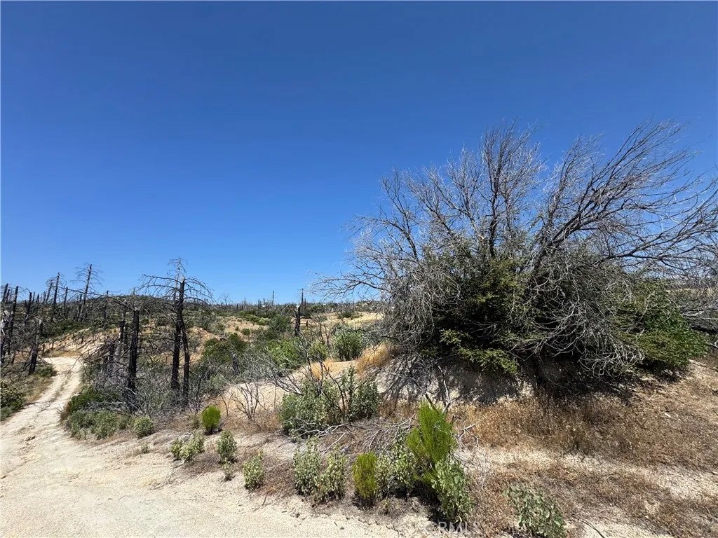 0 Sierra View