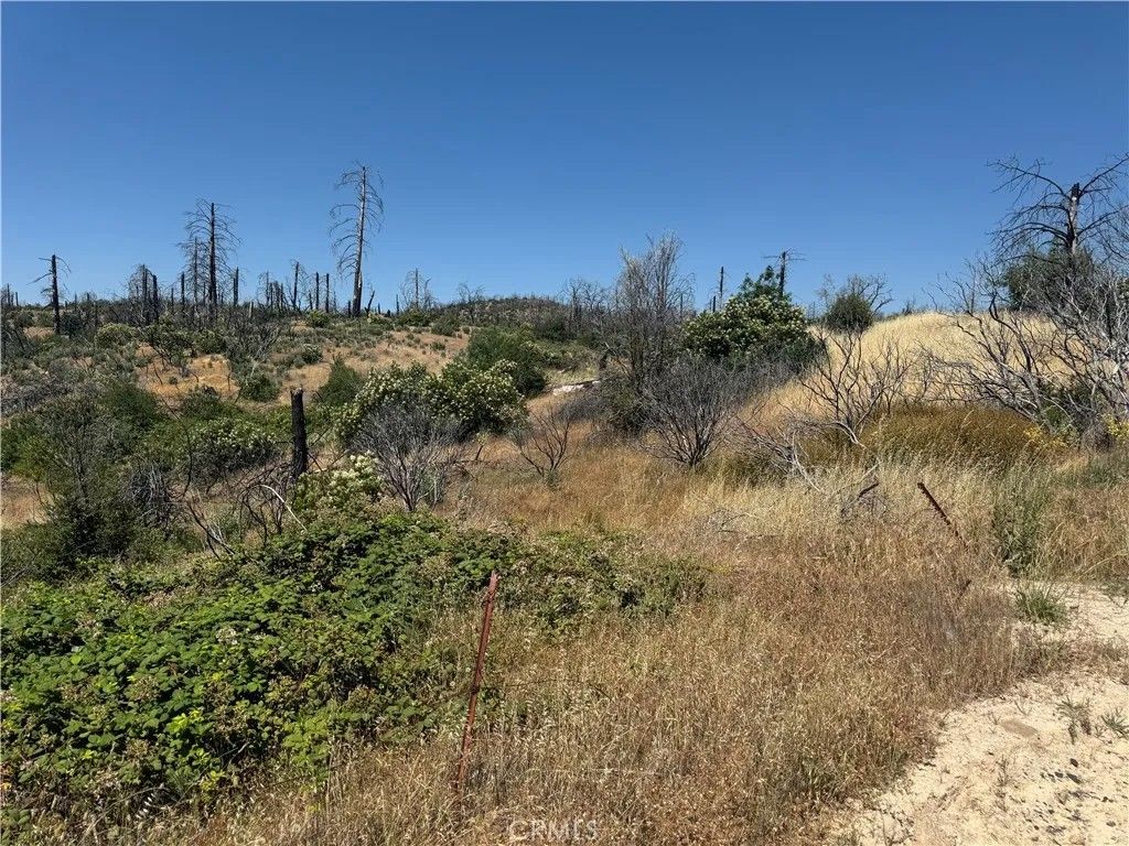 Photo of 0 Sierra View, Berry Creek, CA 95916 (MLS # SN26109758)