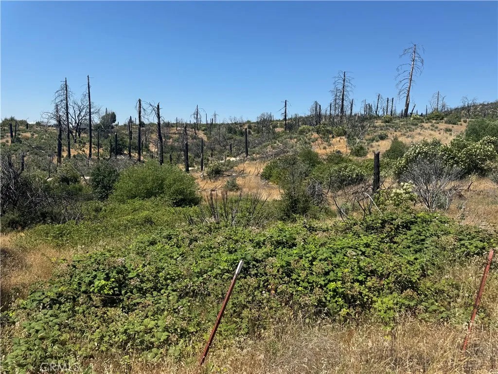 0 Sierra View