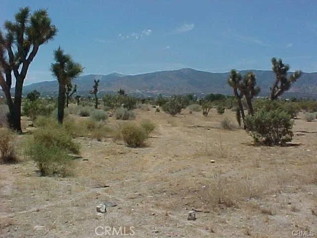 0 BEAR VALLEY RD/PRIMAVERA RD