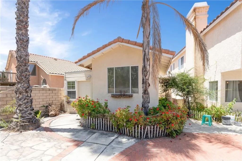 42966 Avenida Gato