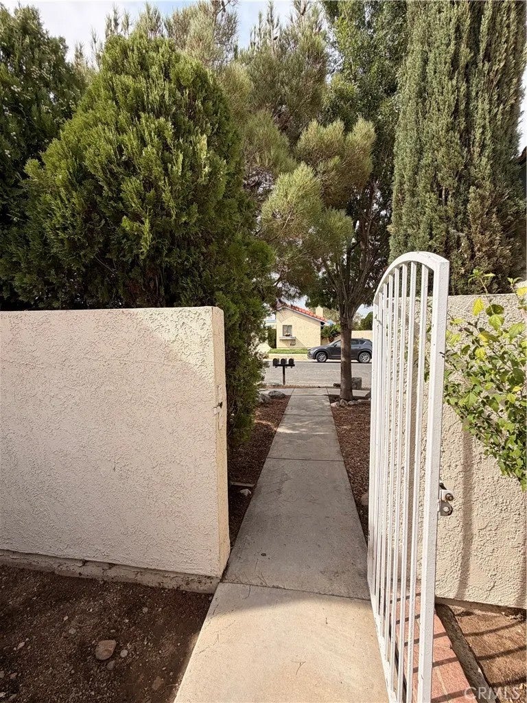 16241 Tokay