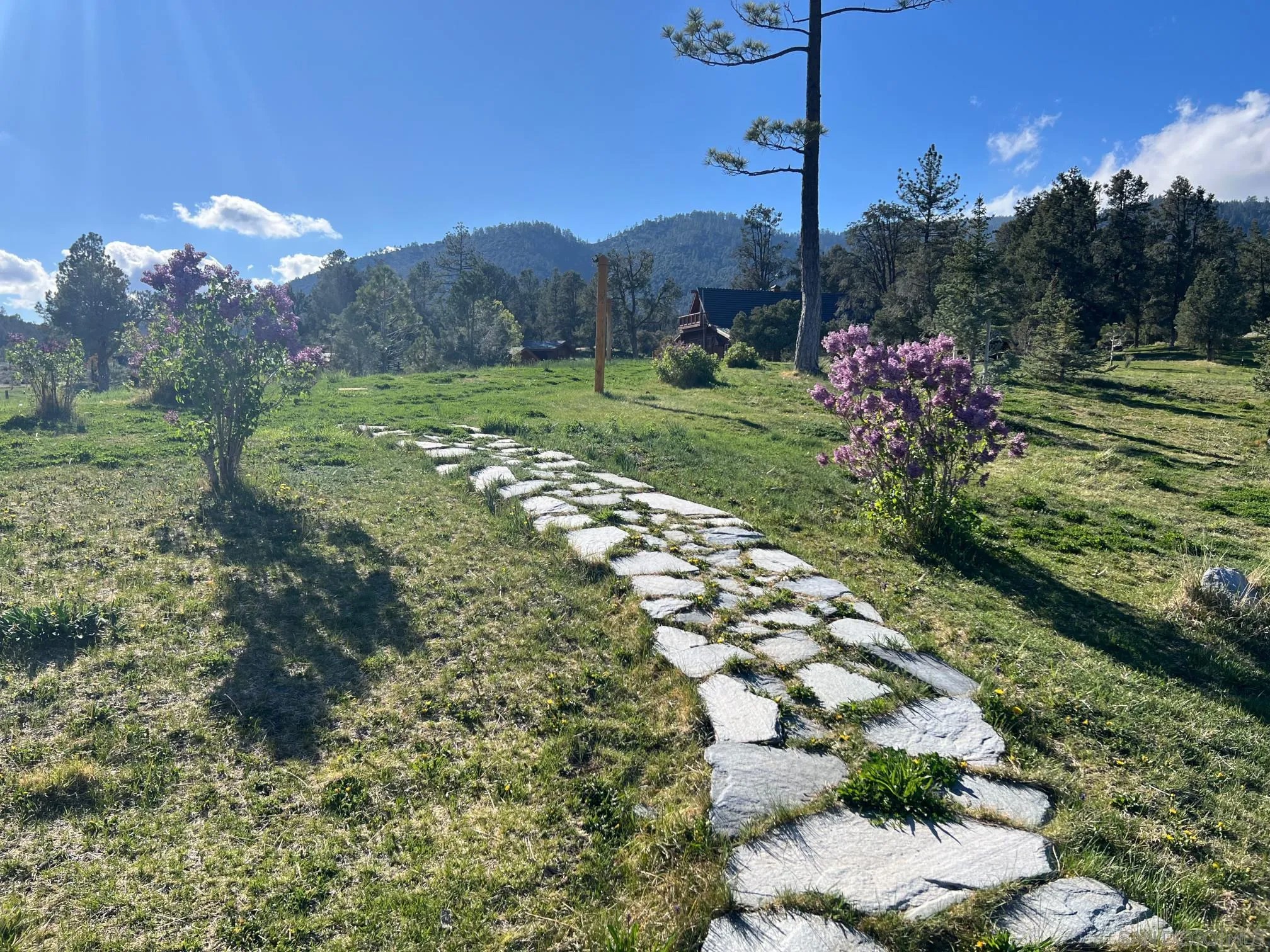 32890 Seymour Canyon