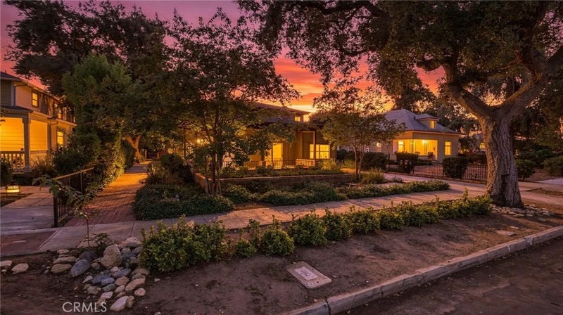 537 Cypress