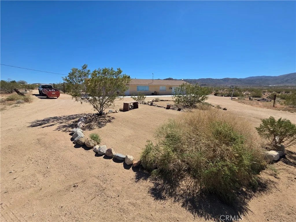 51063 Joshua Tree