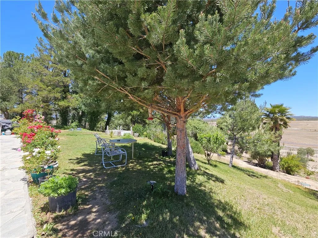 49500 Meadowview