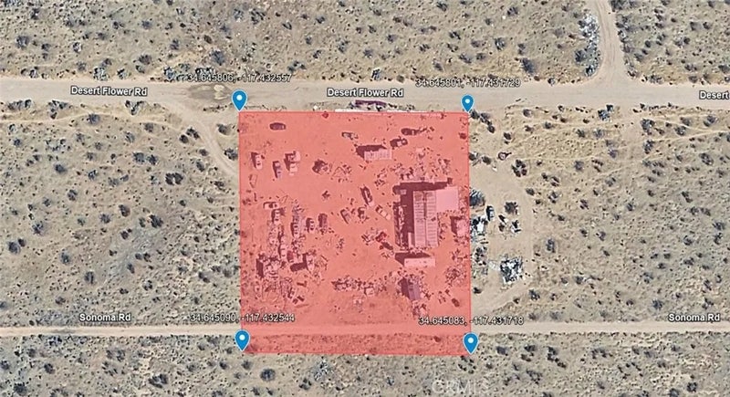 10675 Desert Flower