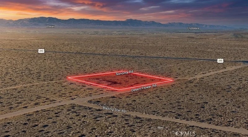 10675 Desert Flower