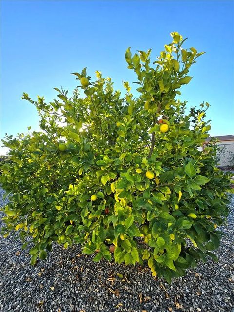 Tiny photo for 27107 Flagler Street, Menifee, CA 92586 (MLS # IV25271190)