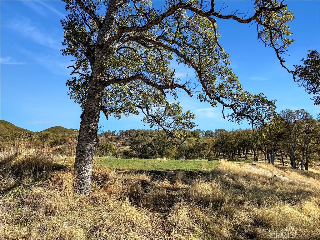 20560 Solar Ridge