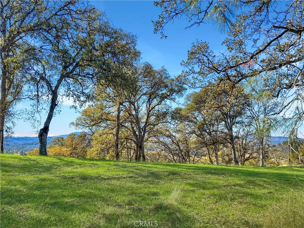 20560 Solar Ridge