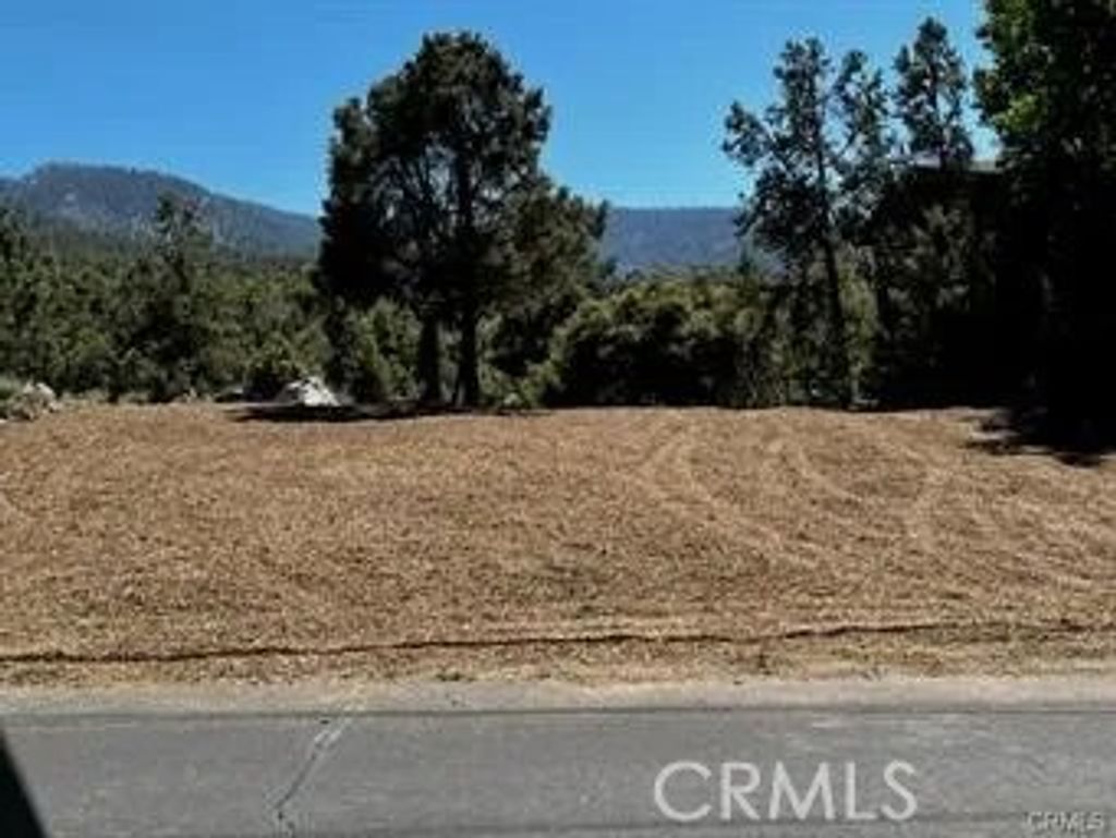 Photo of 2045 Woodland DR, Pine Mountain Club, CA 93222 (MLS # SR26112439)