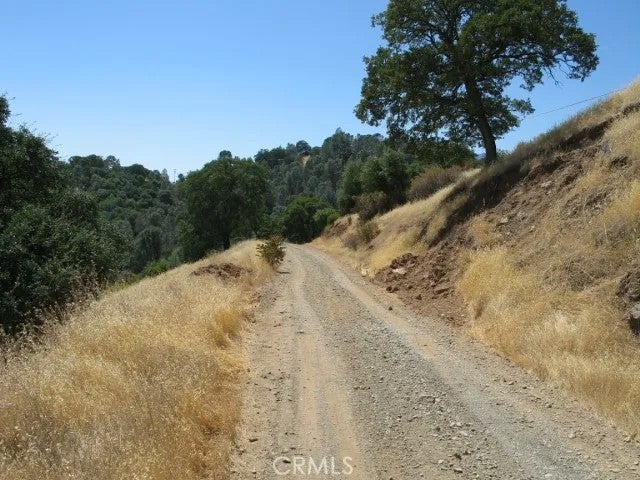 12414 Mountain View