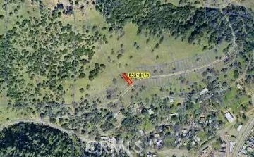 12414 Mountain View