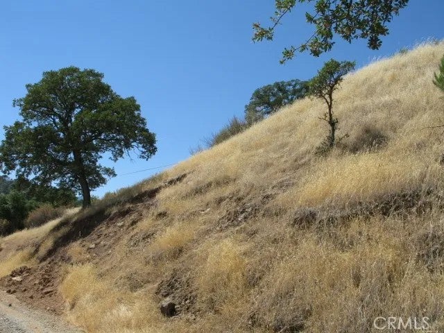 12414 Mountain View