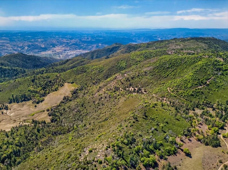 200 Palomar Divide Truck Trail